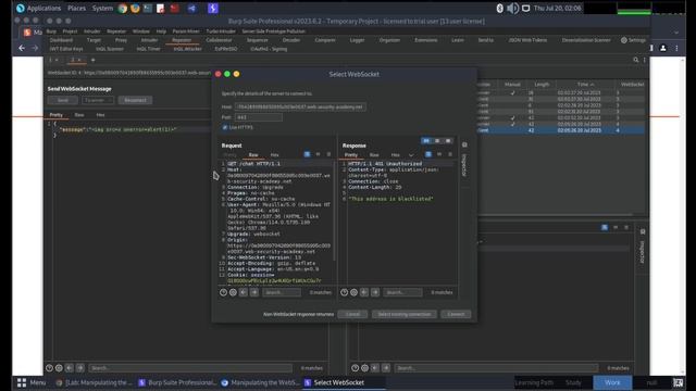 Lab: Manipulating the WebSocket handshake to exploit vulnerabilities | WebSockets смотреть онлайн