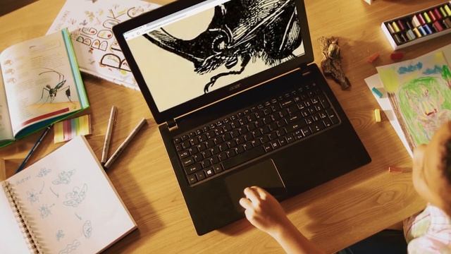 Notebook Acer ASPIRE 3 A315-31-C5D6 смотреть онлайн