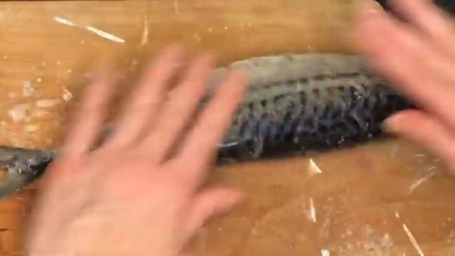 Зоопарк и Дикие Животные