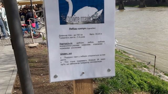 Прогулка по г.Ужгород смотреть онлайн