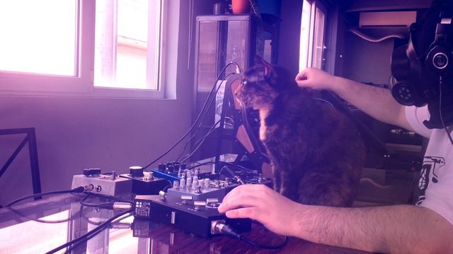 Murmuring Phantasm// SOMA PiPe & Moog Mother-32 & Moog DFAM x2// Industrial Dark Ambient Jam смотреть онлайн