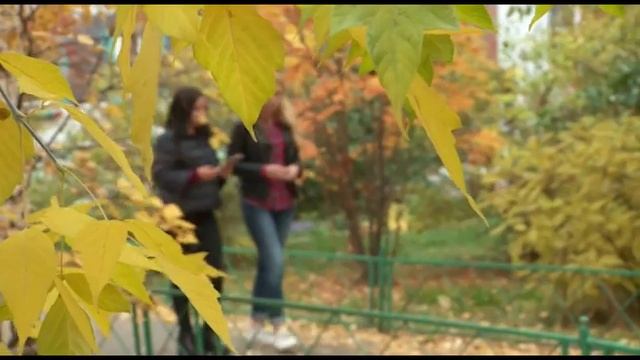 Прекрасные ресницы