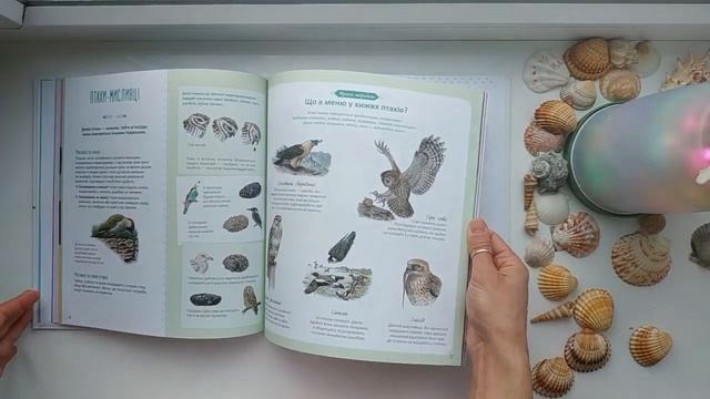 "Дивовижні птахи" Наталі Торджман . Видавництво "Vivat". смотреть онлайн