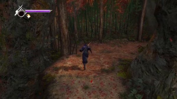 Ninja Gaiden Master Collection/Team Ninja сделайте новую часть!