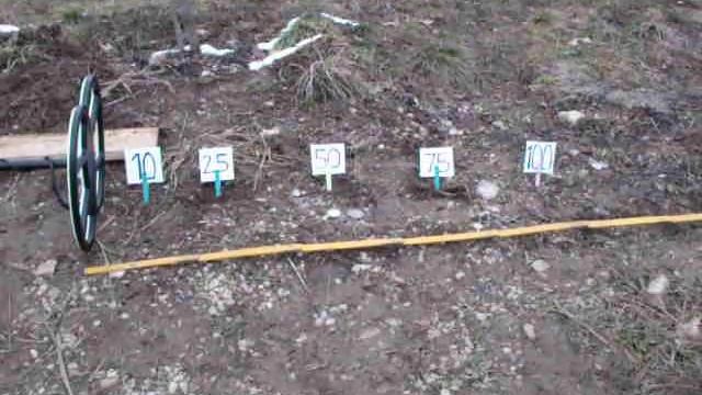 Test New Detech EDS Winner Metaldetector With 12 Inch SEF Coil