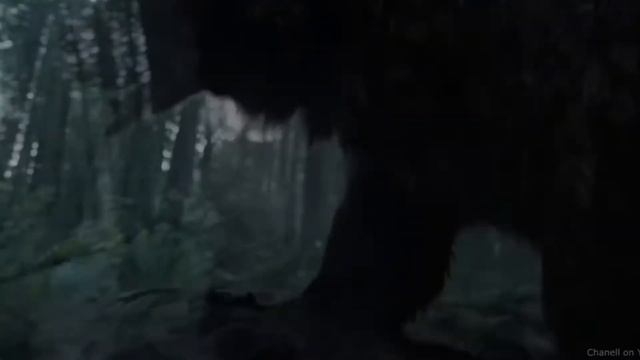 Что Делать при Встрече с Диким Животным? || Поведение при встрече с Диким Животным в Лесу смотреть онлайн