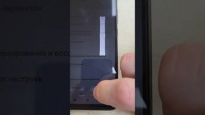 Xiaomi Redmi 10C (220333QNY)
