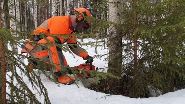 Echo CS-362WES ja kuuden päivän savotta | Six-day logging | смотреть онлайн