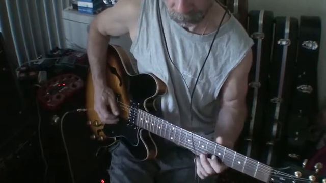 2009 Epiphone Dot ES-335 "Schwartz Shuffle" 070513 смотреть онлайн