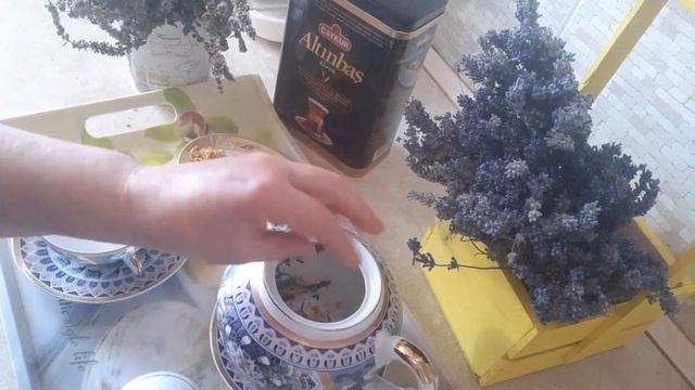 Домашние Животные и Их Уход