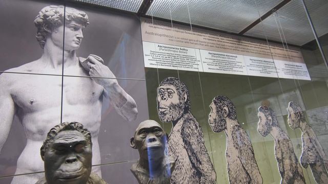 ? Московский Дарвиновский музей смотреть онлайн