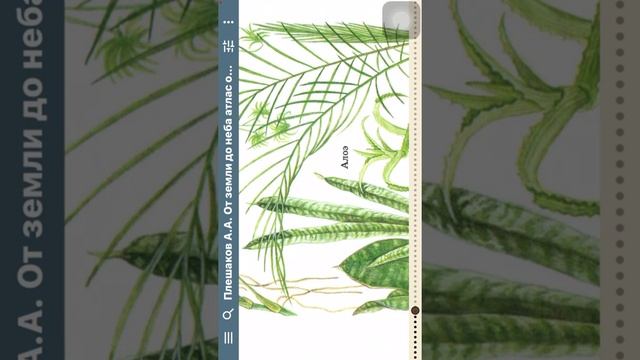 От земли до неба . Атлас определитель. Растения комнатные. смотреть онлайн