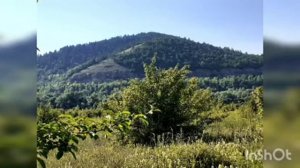 САБЛИМИНАЛ ДЛЯ БОДРОСТИ, ТОНУСА И ЭНЕРГИИ