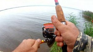 Рыбалка в СПб и Ленинградской области.