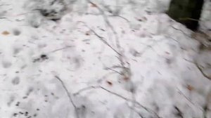 Чеверсы. Тест бахил для грязи и воды.