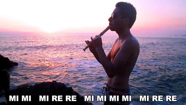 LOVE ME LIKE YOU DO Ellie Goulding ACÚSTICA Flauta Dulce con NOTAS смотреть онлайн