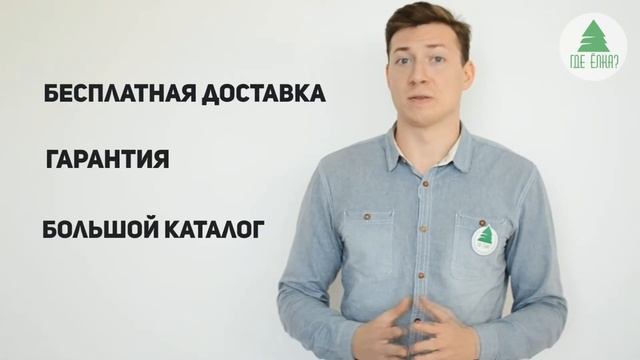 «Где Ёлка?» - Интернет-магазин искусственных ёлок в Челябинске смотреть онлайн