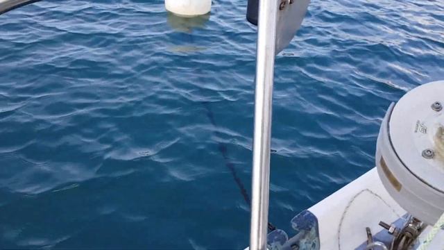 Скрутка переднего паруса Стаксель. Furling sistem смотреть онлайн