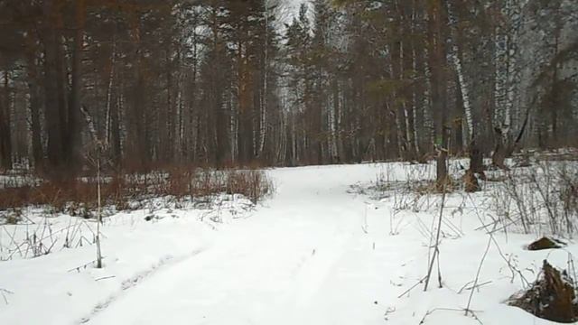 16.04.2016. Поход на Торгашинский хребет. Часть 5. смотреть онлайн