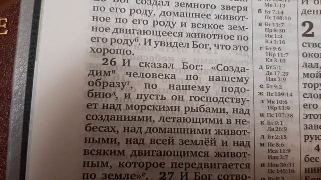 В Библии нет человека? Только мужчина и женщина? Проверяем! смотреть онлайн