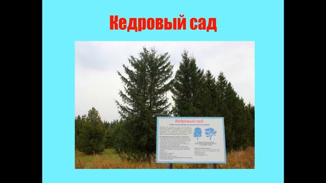 Презентация Юргамышский район смотреть онлайн
