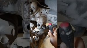 Последствия после антикора у официального дилера. ML состав