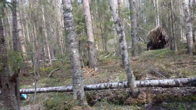 Почему заблудившийся в лесу человек ходит по кругу смотреть онлайн