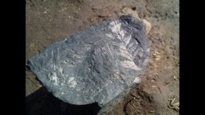 §19 "Горные породы, минералы и полезные ископаемые", География 5-6 класс, Полярная звезда