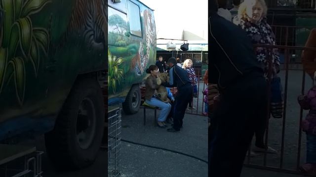Фото со львом смотреть онлайн