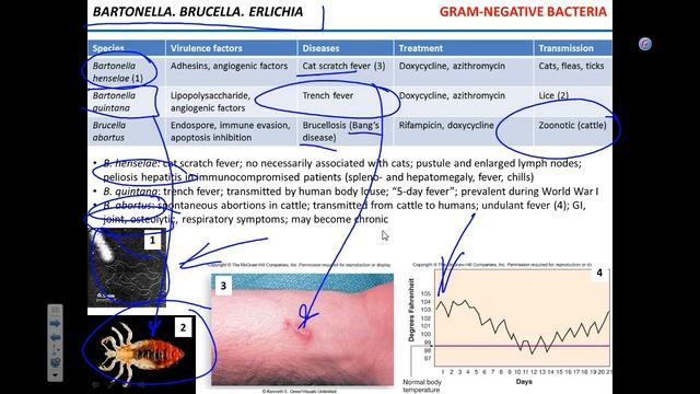 Bacterial pathogens 1 смотреть онлайн