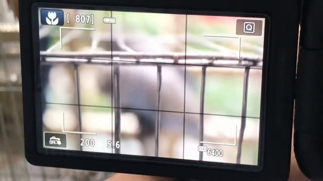 Canon EOS 800D | REVIEW| DSLR |Canon 800d Price in Bangladesh смотреть онлайн