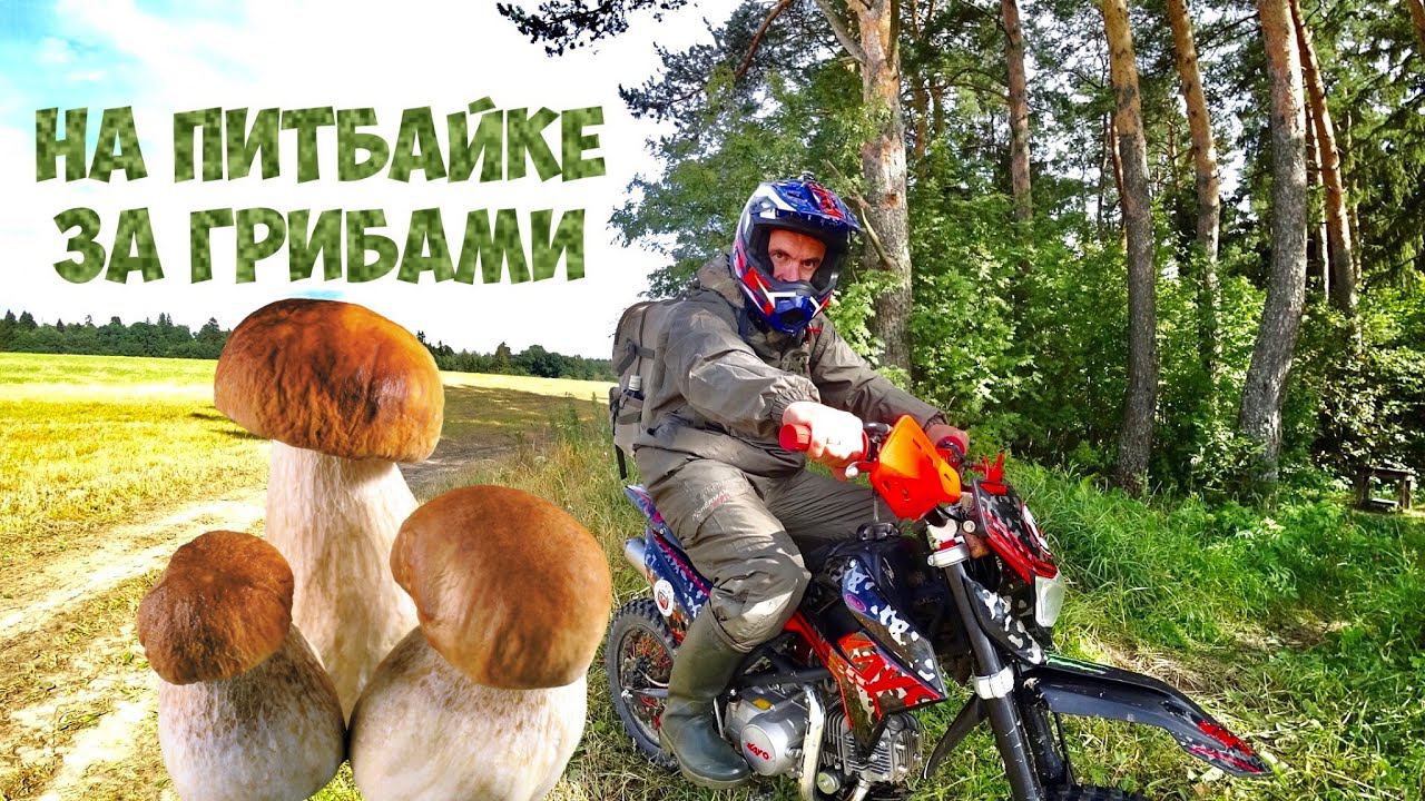 На Питбайке за Грибами.