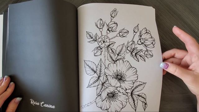 "Bloom" | Adult Coloring Book Flip Through смотреть онлайн