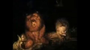 Я в своем познании настолько преисполнился...