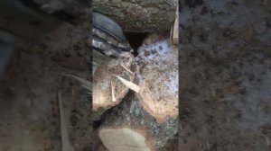 замена бензонасоса УАЗ 3303головастик