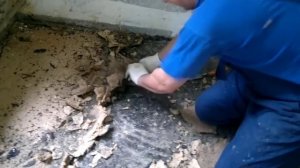 Демонтаж двп с битумной мастикой