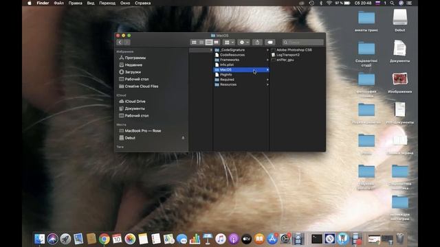Запускаем Adobe Photoshop CS6 на macOS Catalina / How to Open Adobe Photoshop CS6 in macOS Catalin смотреть онлайн