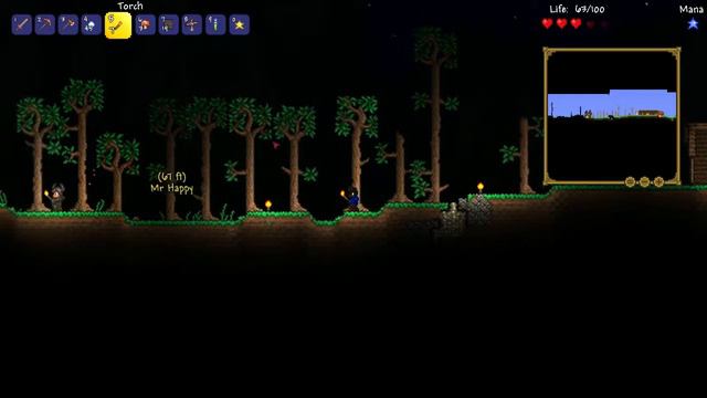начало (terraria Time 1ч.)