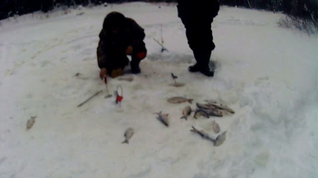 Рыбалка на таёжной речке смотреть онлайн