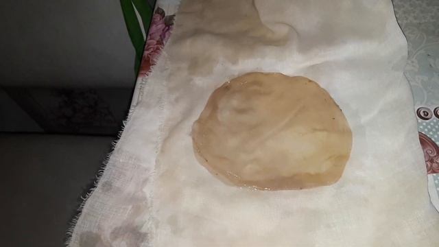 Чайный гриб,новый эксперимент часть1? смотреть онлайн