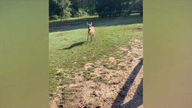 1 декабря 2022 г. смотреть онлайн