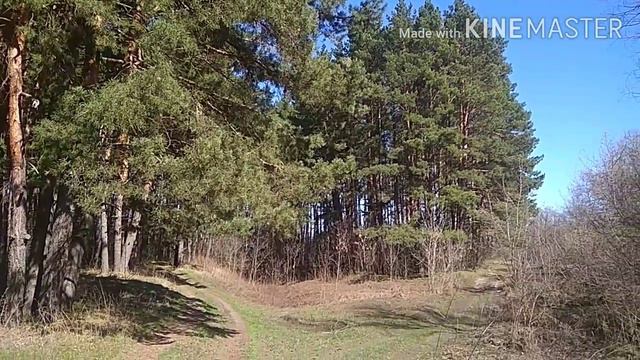 Беково. Прогулка на Хопёр в начале апреля. Часть 3. Заповедные места. смотреть онлайн