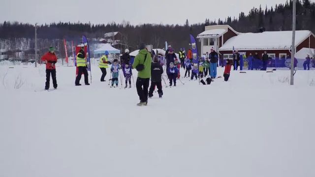 Fjällvindenloppet 2018 смотреть онлайн