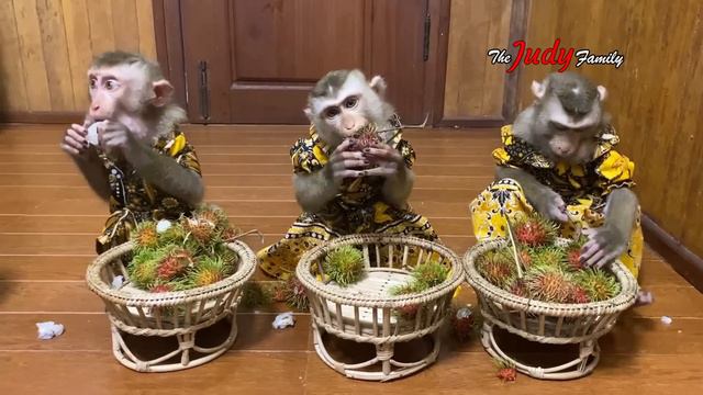 Mom Ordered Big Pile Of Tsty Rambutan Fruits From Countrysde смотреть онлайн