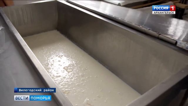 На Виледи появилось первое производство по переработке молока смотреть онлайн