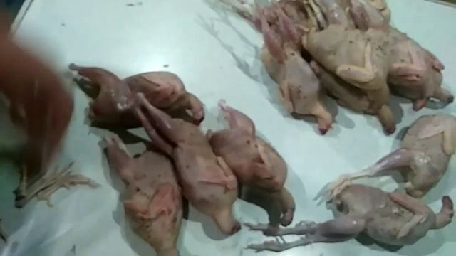 Ощип и разделка перепелов. Пособие для новичков. смотреть онлайн