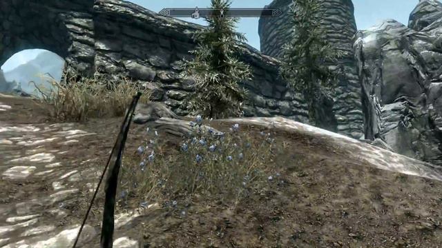 Стрим игры Skyrim смотреть онлайн
