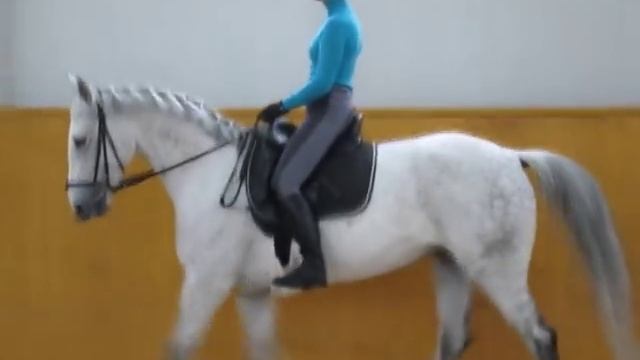 Посадка всадника смотреть онлайн