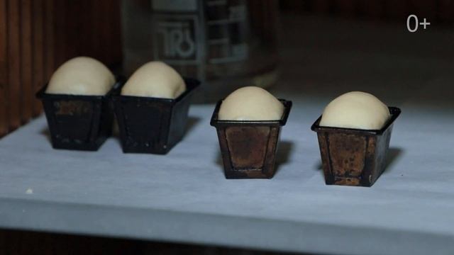 Второй День открытых дверей в Тимирязевской Академии в 2021 году смотреть онлайн