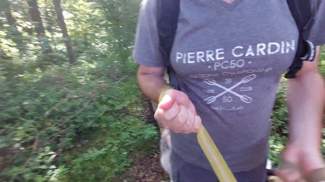 Двое в лодке,не считая собак(часть 2) смотреть онлайн